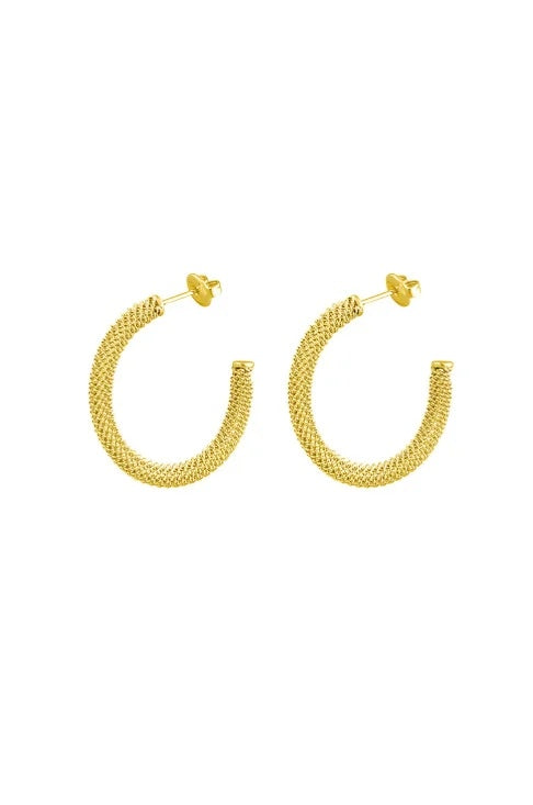 Biba Oorbellen Hoop Goud