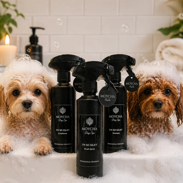 Moycha Dog Spa Kit
